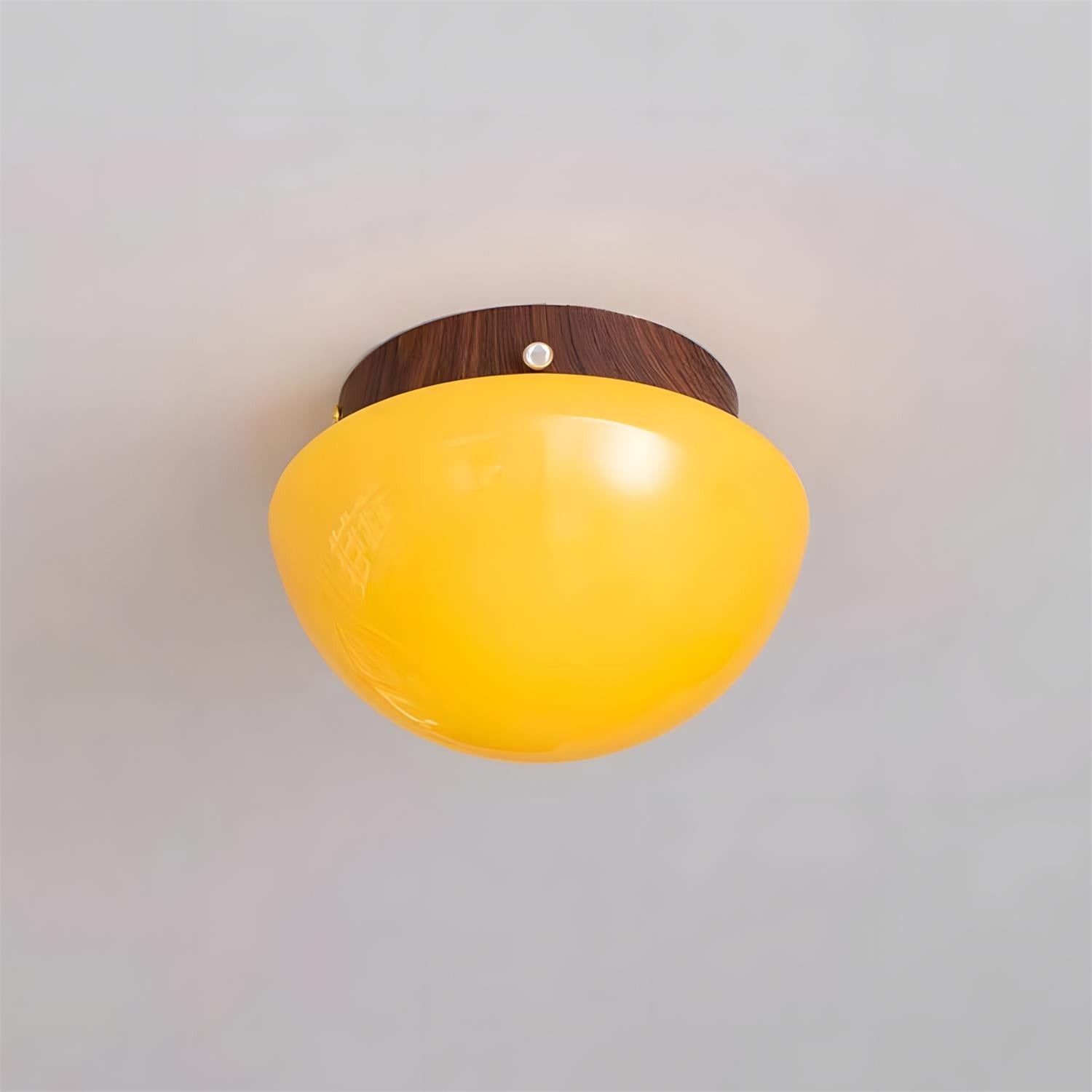 Honingkleurige koepelvormige plafondlamp HL2870