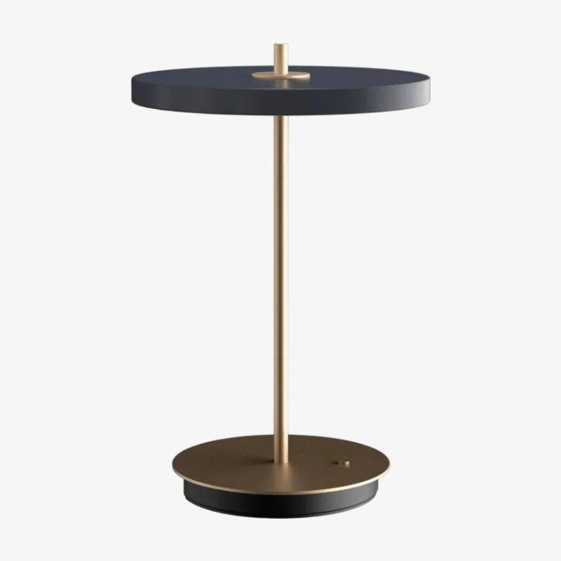 Astris Moderne Minimalistische Metalen Tafellamp met Zachte LED-verlichting voor Woonkamer en Kantoor HL2360
