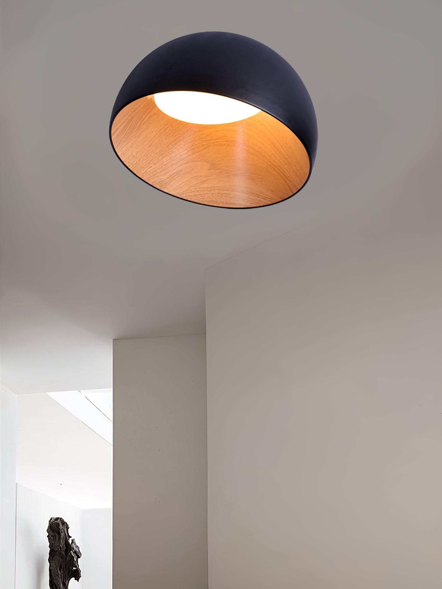 Eenvoudige moderne Scandinavische LED-plafondlamp in eierschaalvorm HL456