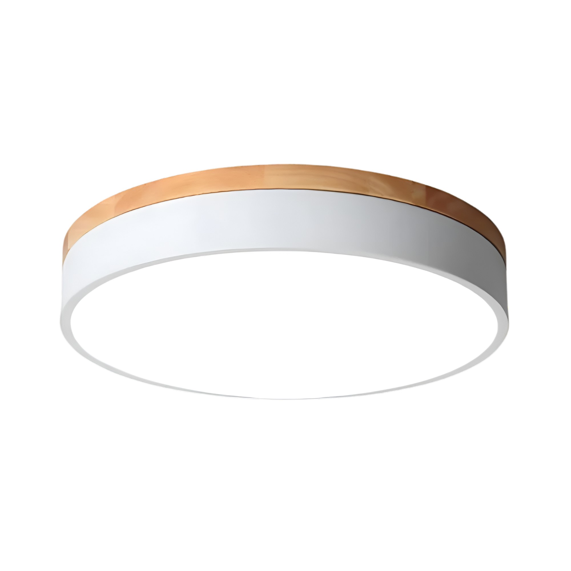 Nordic LED ronde plafondlamp van acryl, minimalistisch design HL1289