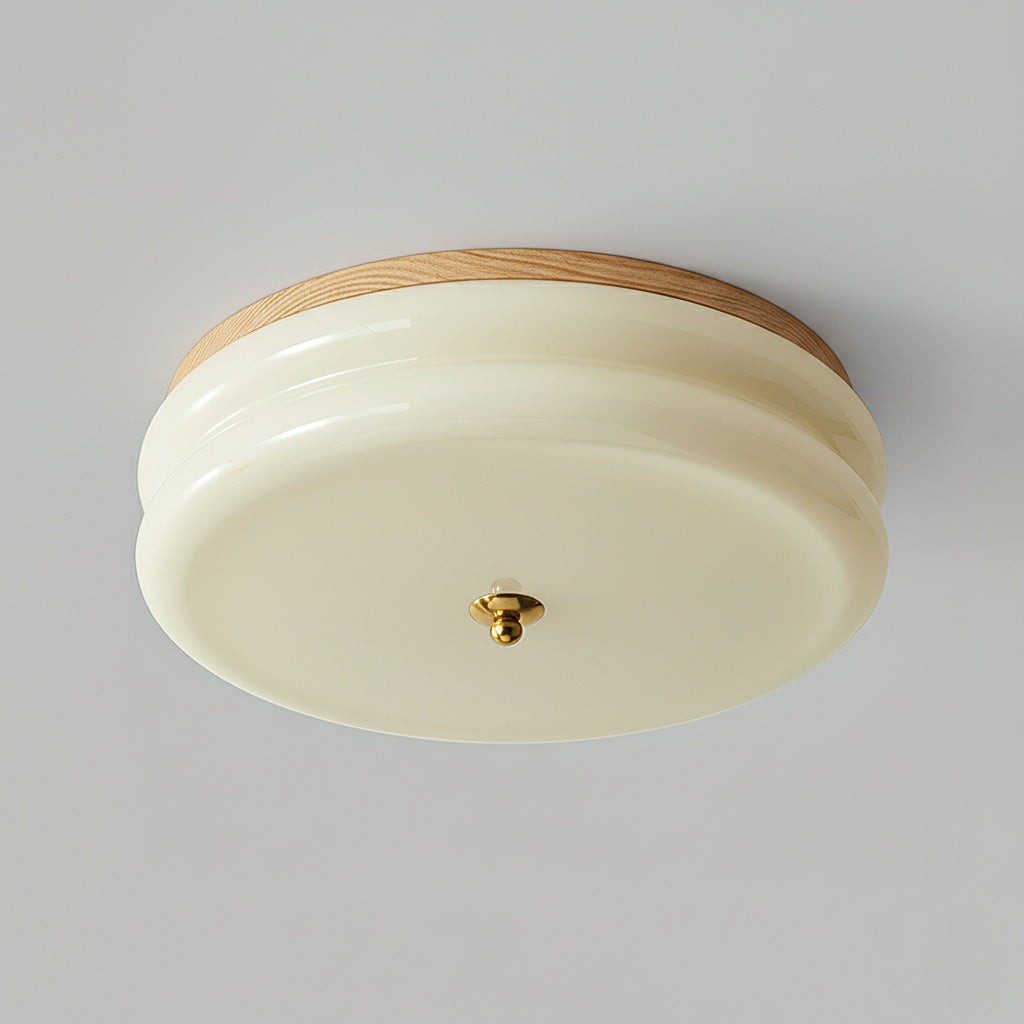 Rowen plafondlamp HL2558