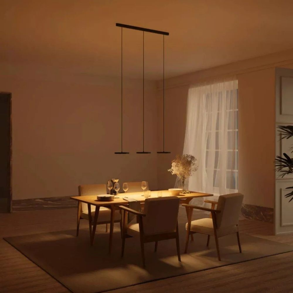 Schijfvormige Moderne Hanglamp - Zwart Wit LED Ontwerp HL1051