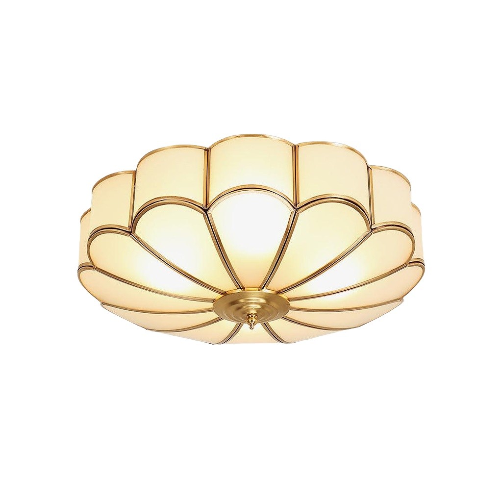 Moderne Bloemvormige Plafondlamp met Opbouw HL298