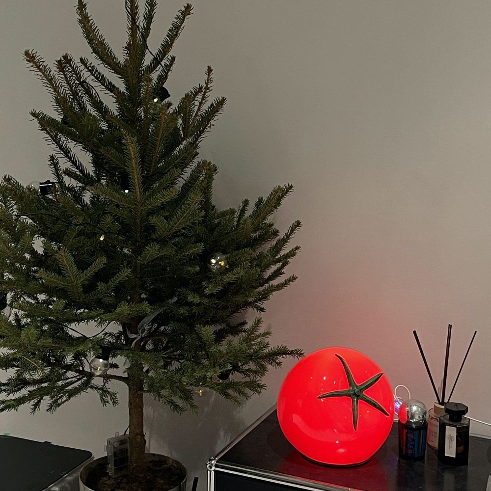 Decoratieve LED Tomato Design Tafellamp HL177