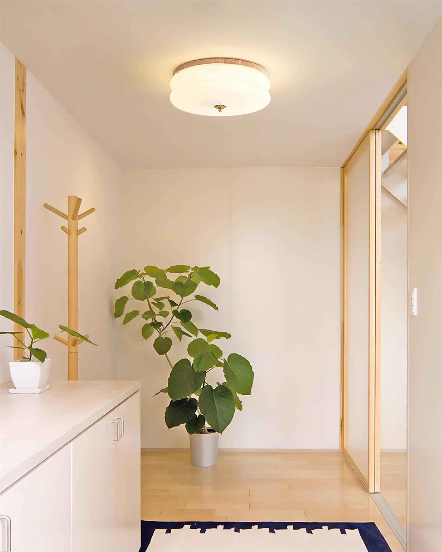 Rowen plafondlamp HL2558