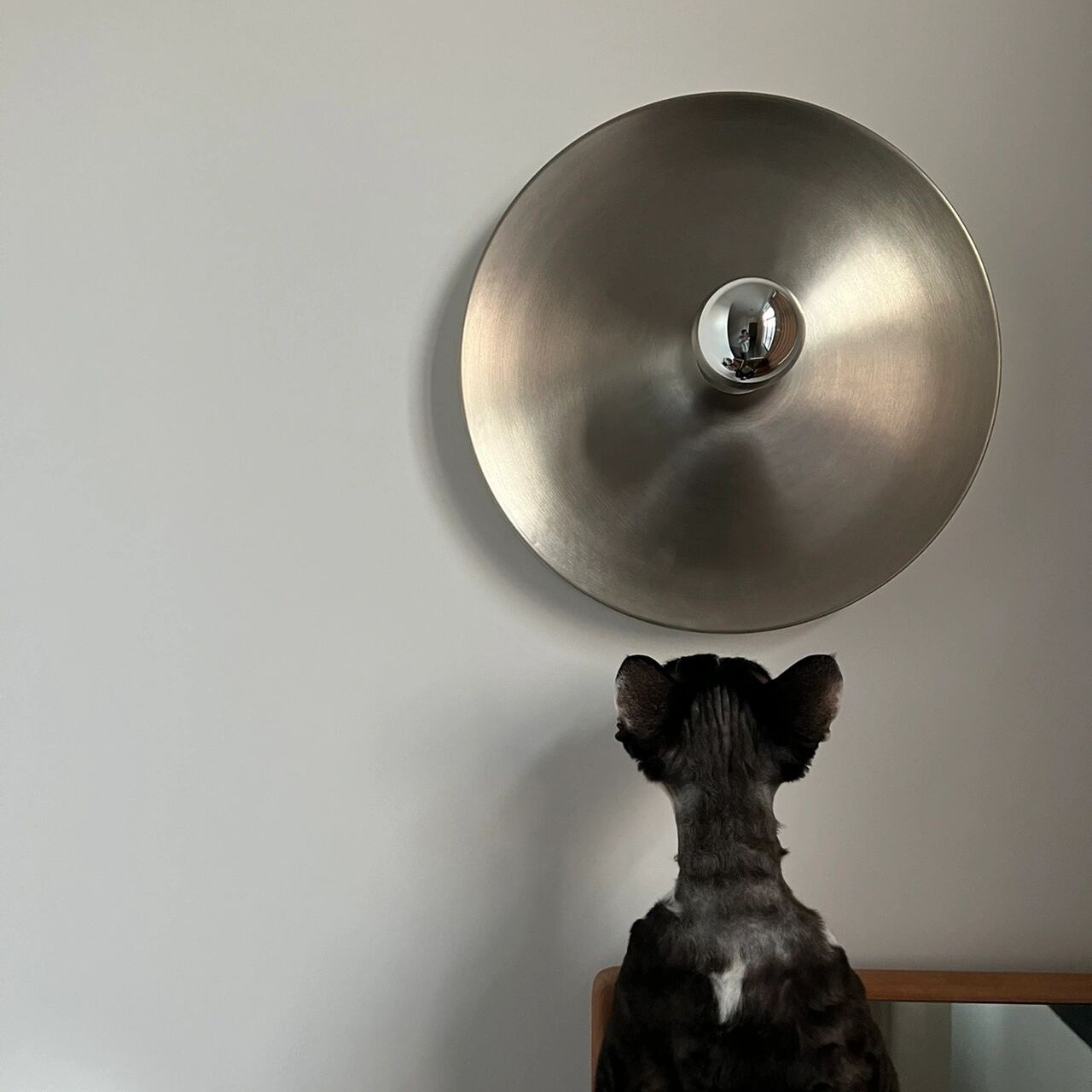 Space Age Disc Plafondlamp HL1023