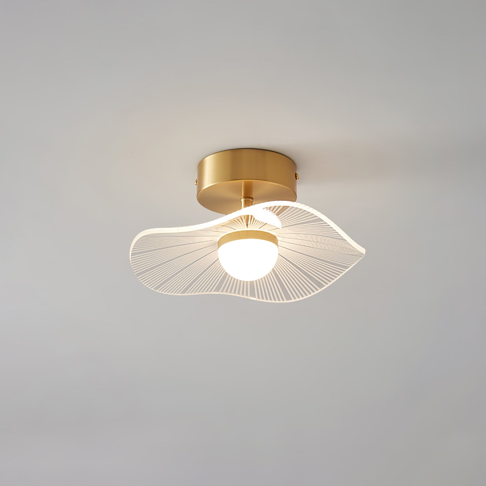 Acryl Lotusblad Plafondlamp HL1309