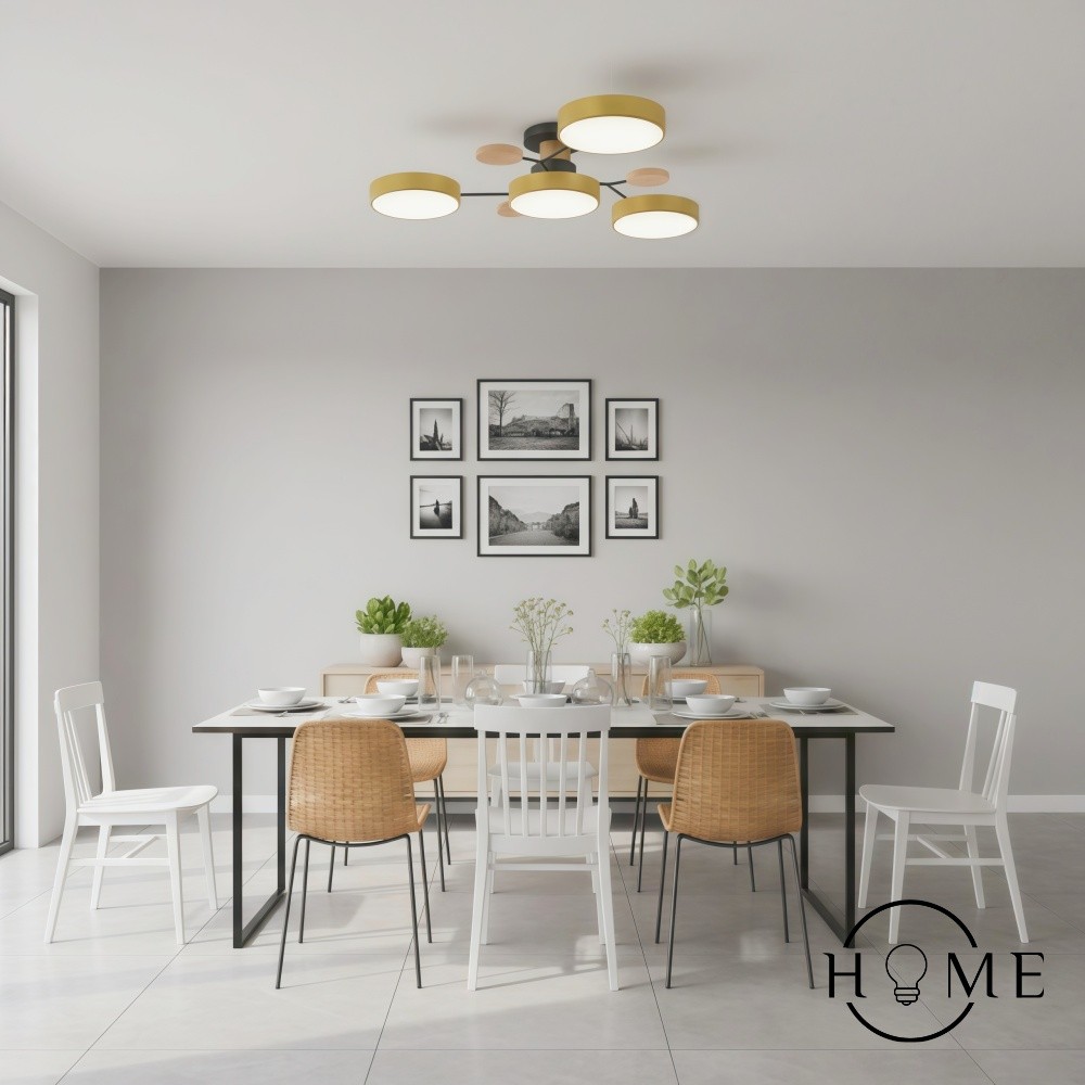 Nordic vertakte schijf LED plafondlamp HL215