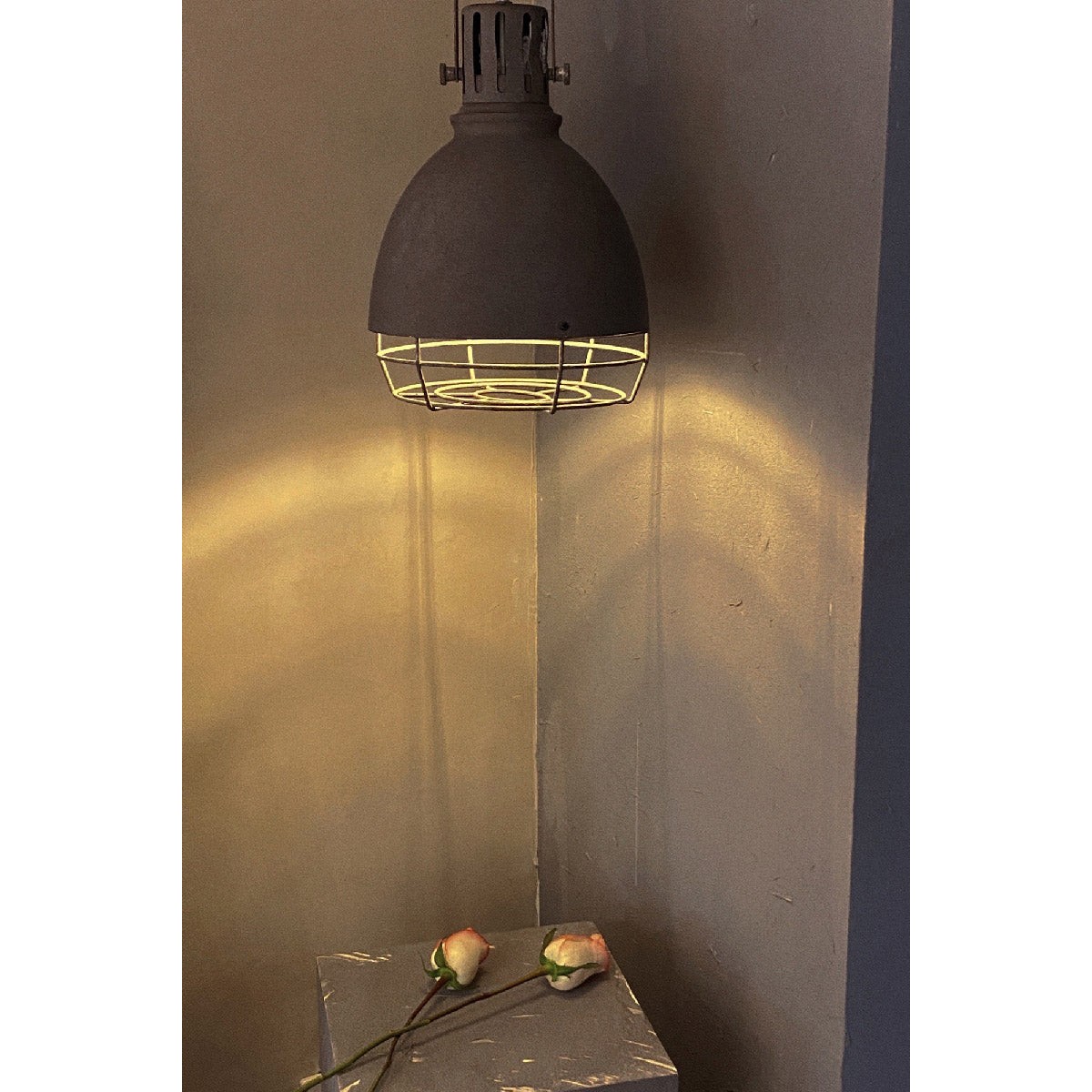 Tagabo hanglamp HL3020