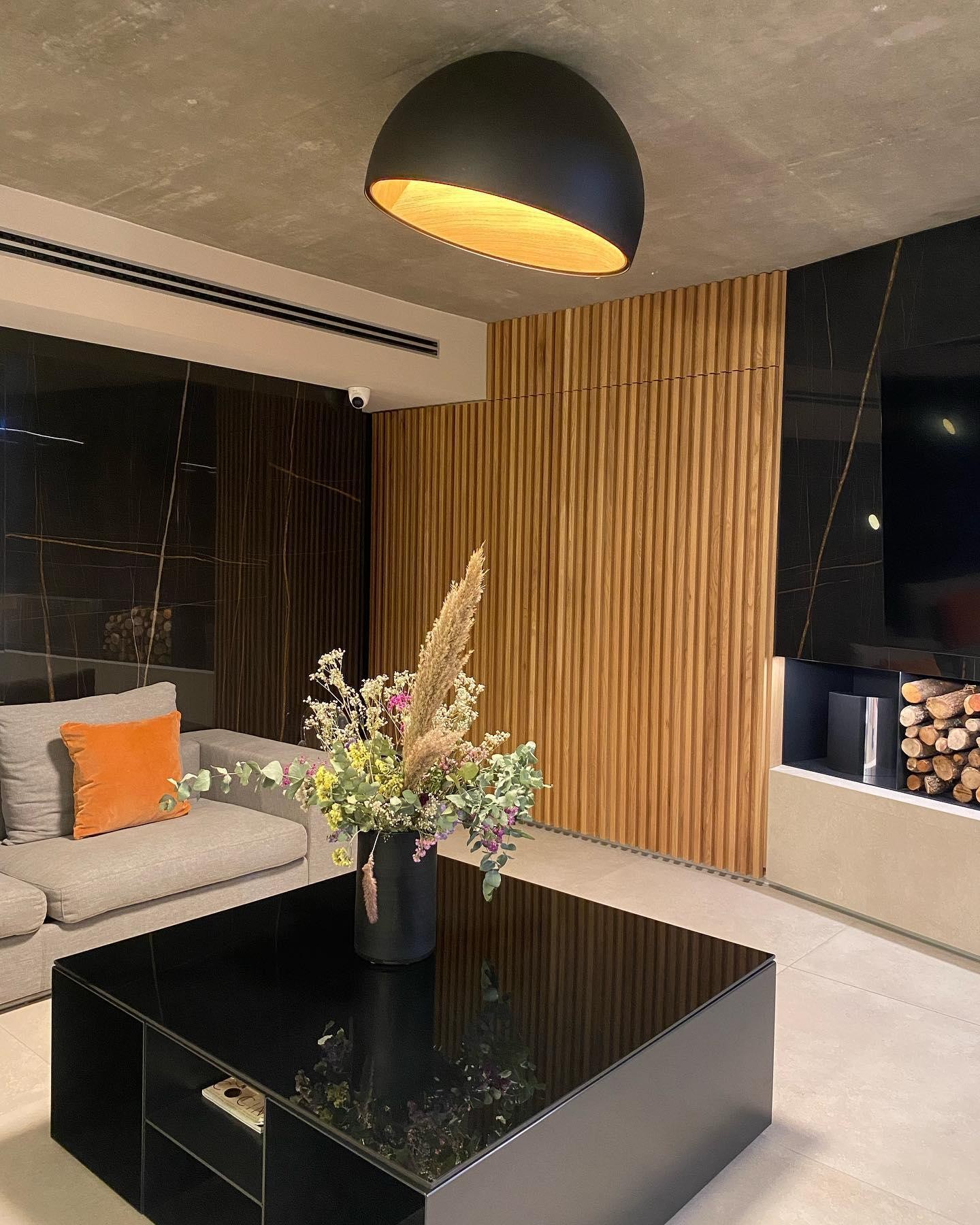 Eenvoudige moderne Scandinavische LED-plafondlamp in eierschaalvorm HL456