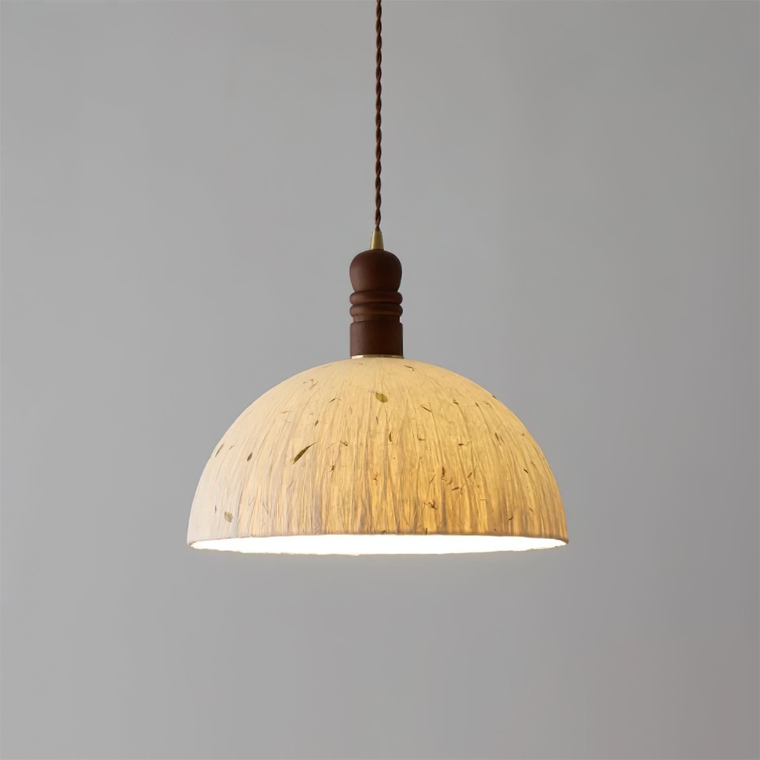 Sylvane Dome hanglamp HL2745