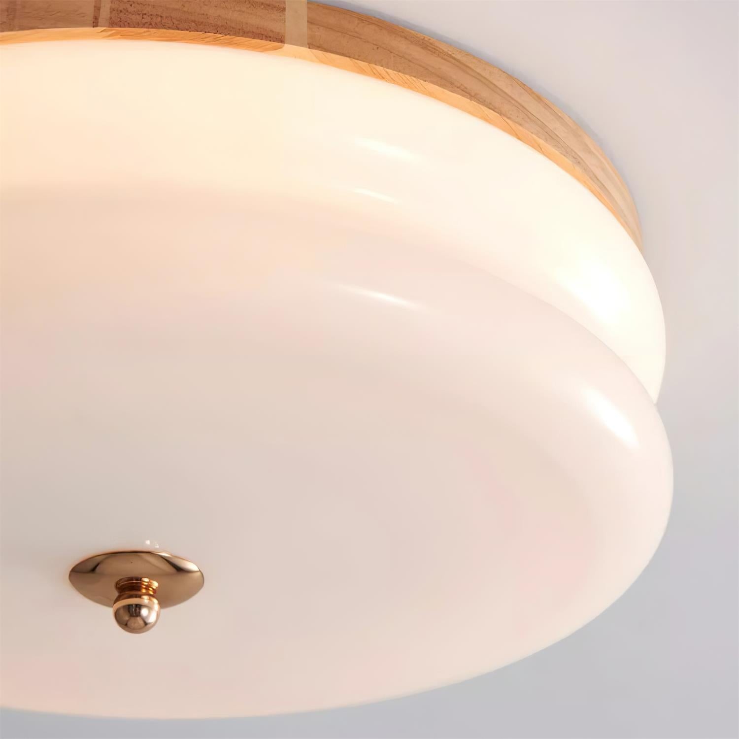 Rowen plafondlamp HL2558