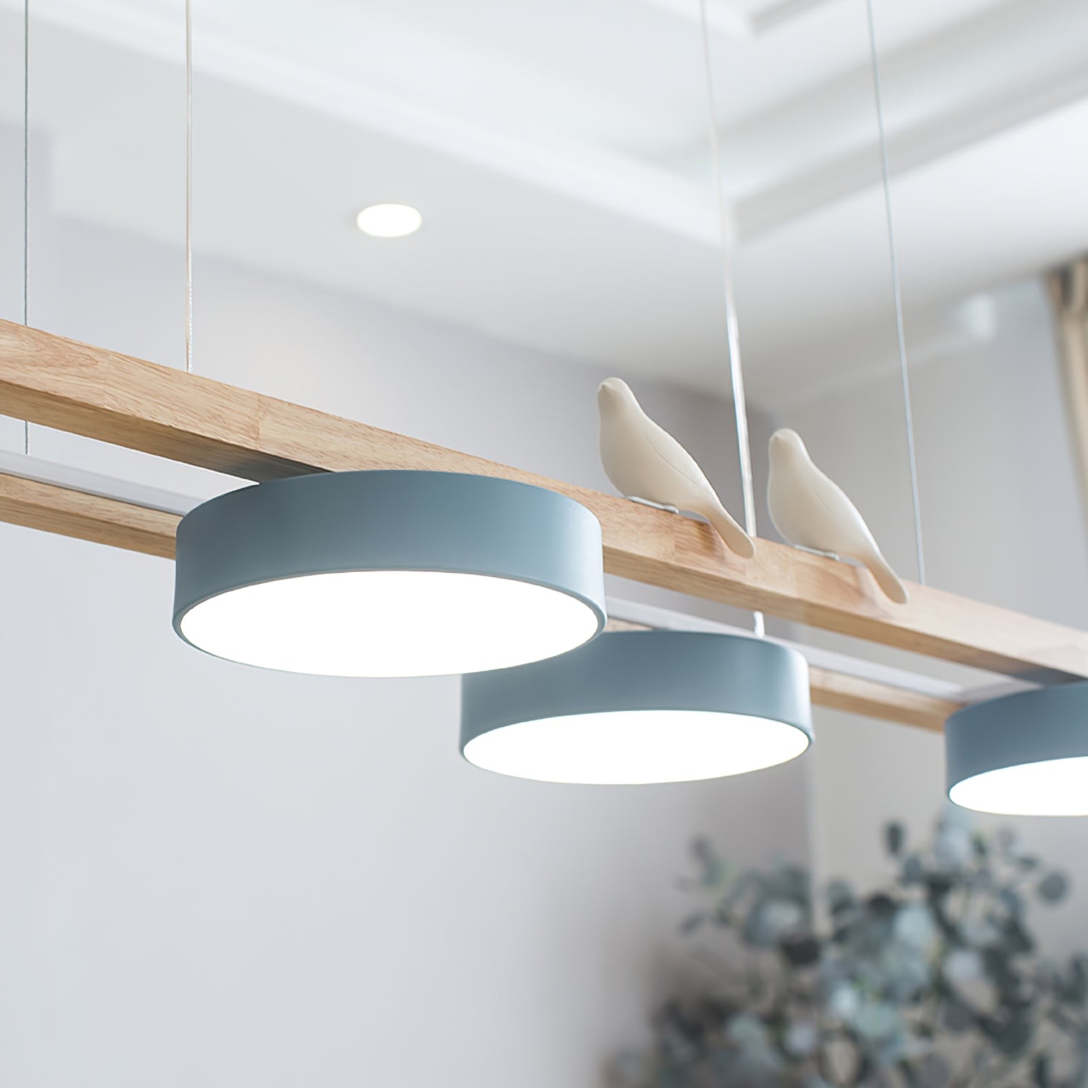 Nieuwe Stijl Mode Vogel Lange Kroonluchter HL742