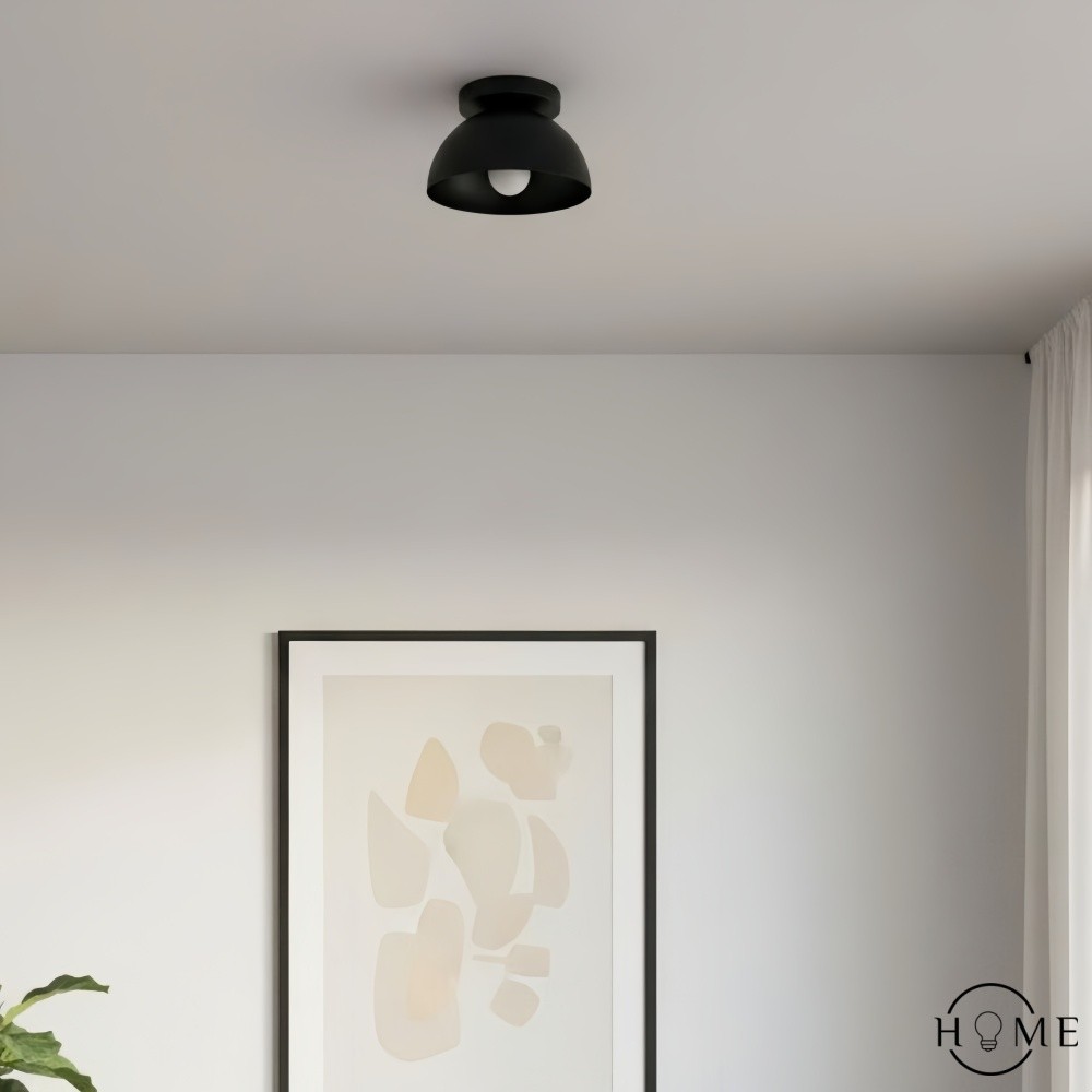 Metio Dome Shade Plafondlamp - Moderne Gekleurde Metalen Lamp voor Woonkamer en Slaapkamer HL1733