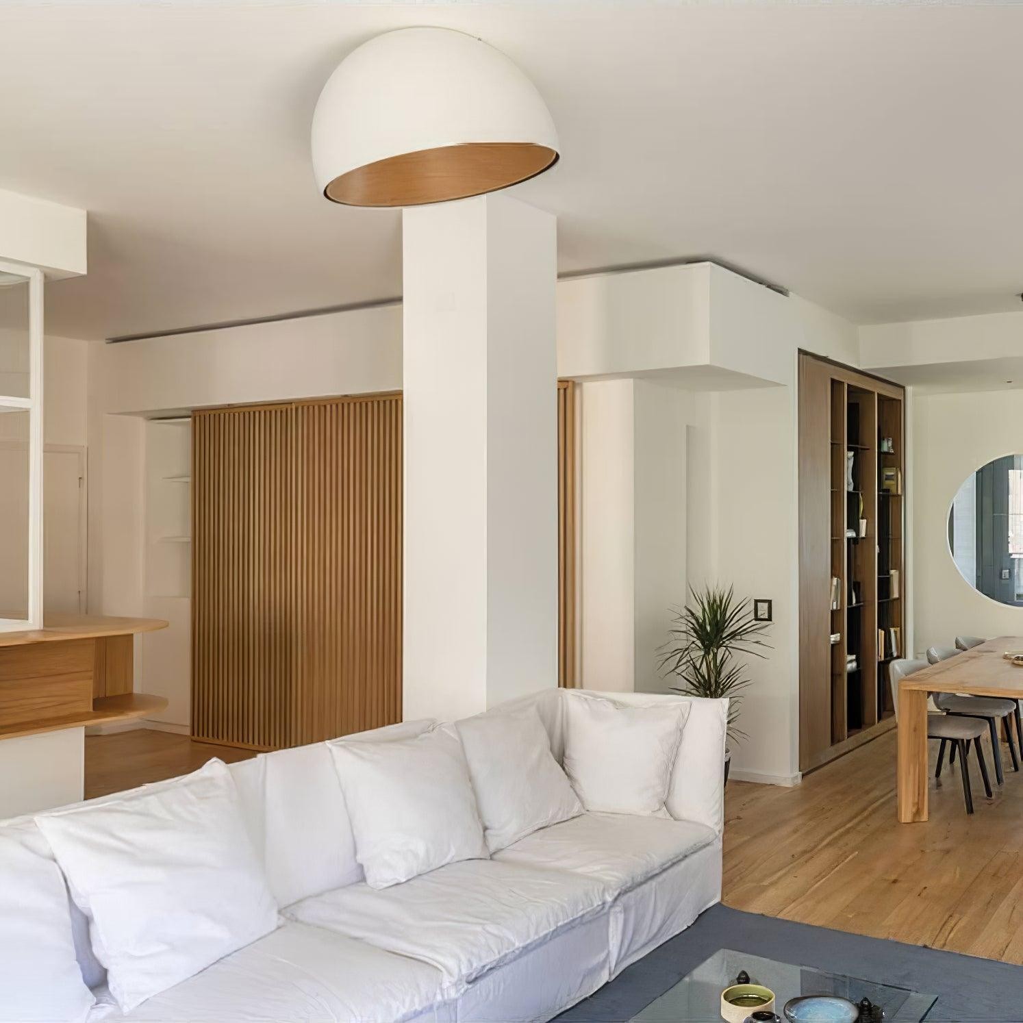 Eenvoudige moderne Scandinavische LED-plafondlamp in eierschaalvorm HL456
