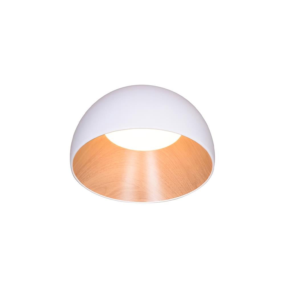 Duo plafondlamp HL3039