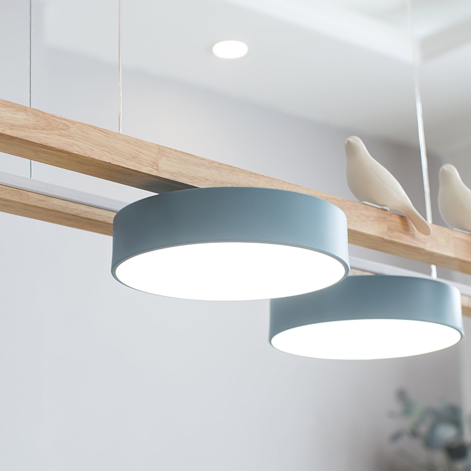 Nieuwe Stijl Mode Vogel Lange Kroonluchter HL742