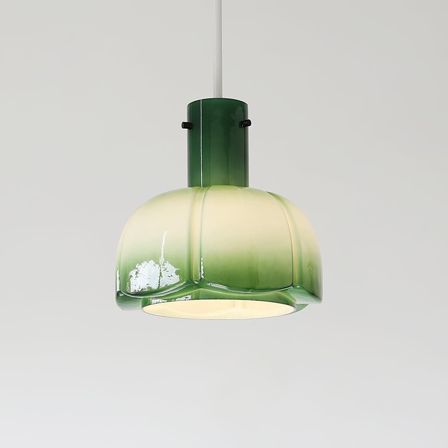 Franse pastorale stijl bloemblaadje glazen hanglamp HL637