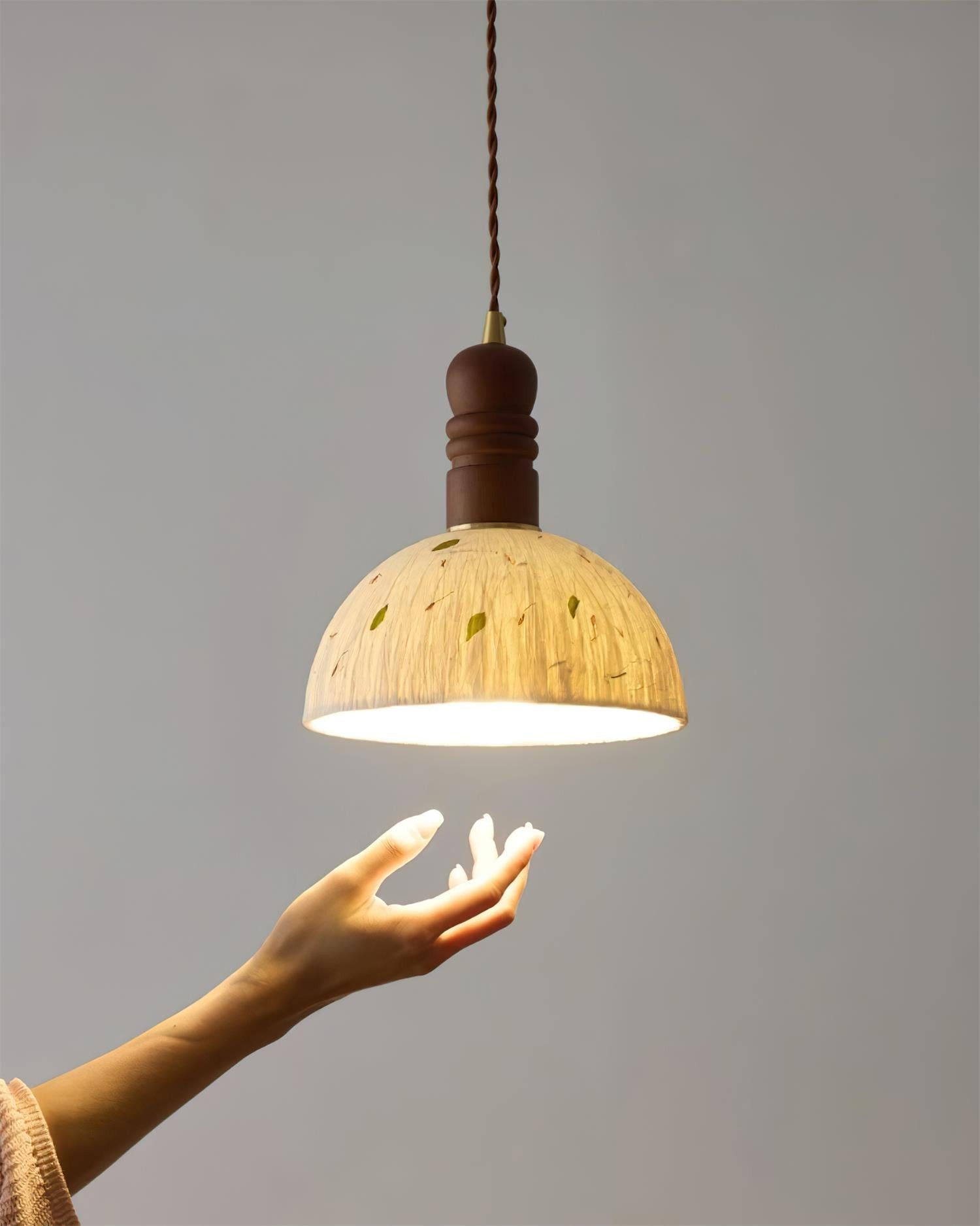 Sylvane Dome hanglamp HL2745