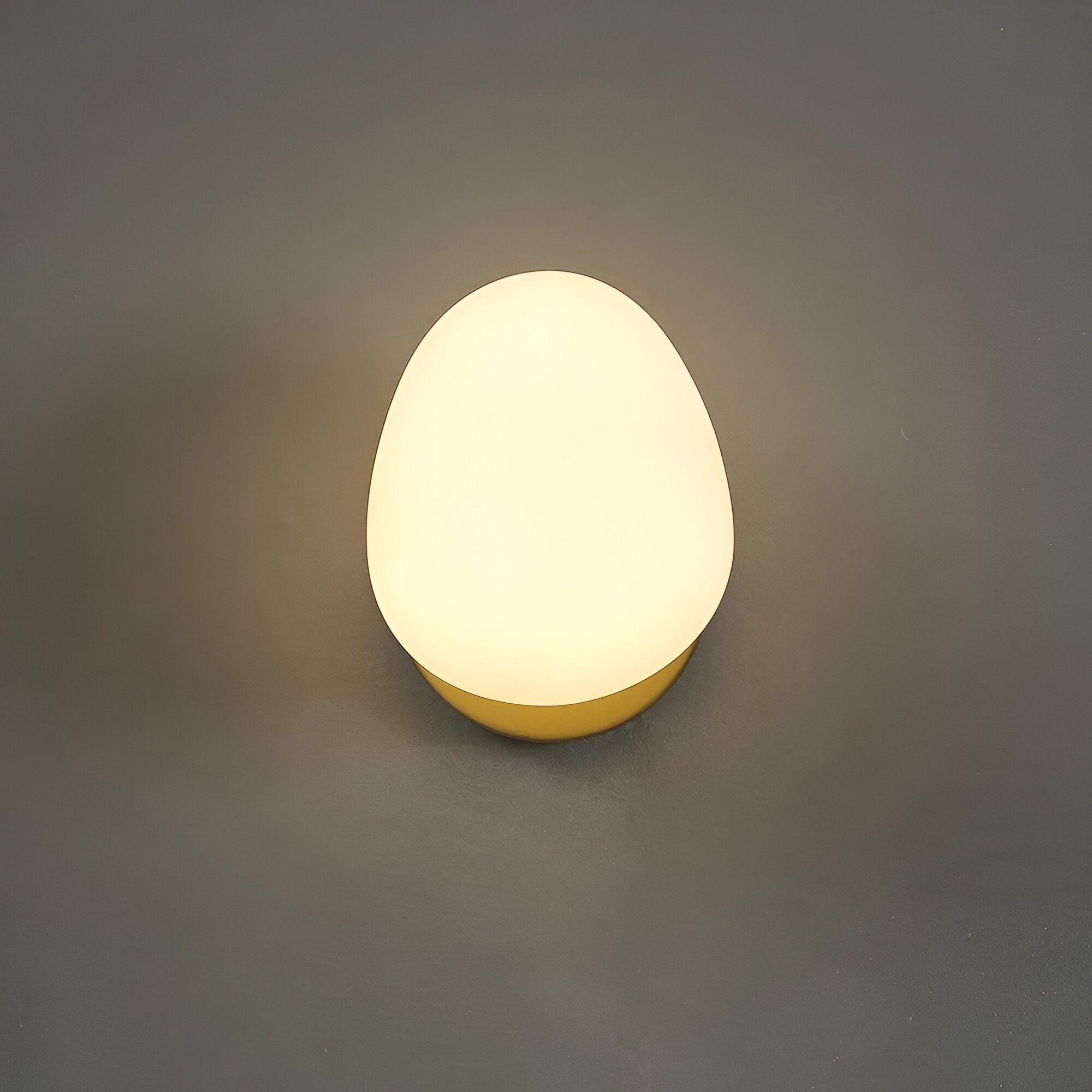 Arianne Nordic wandlamp met glazen kap HL3514