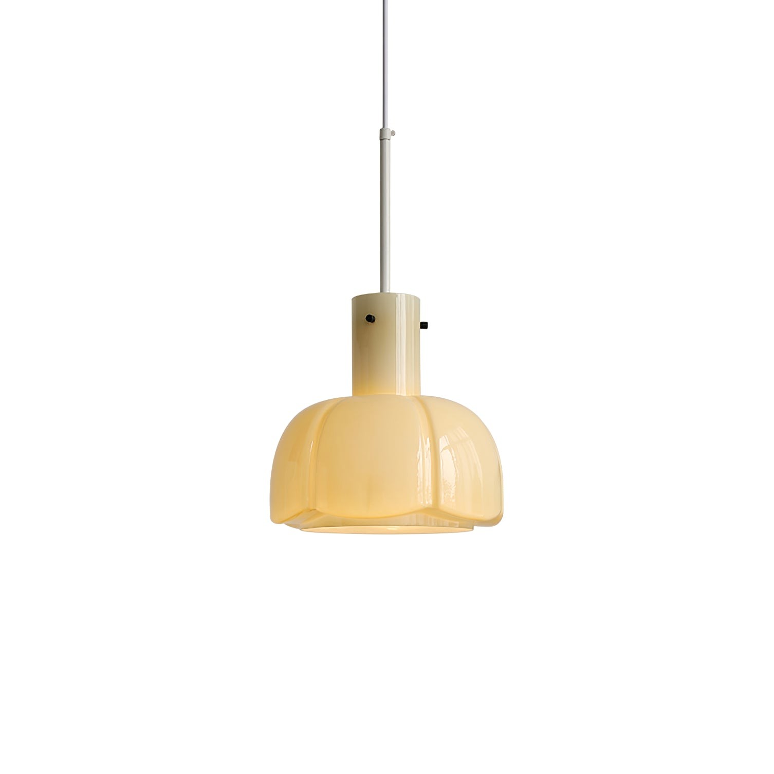 Franse pastorale stijl bloemblaadje glazen hanglamp HL637