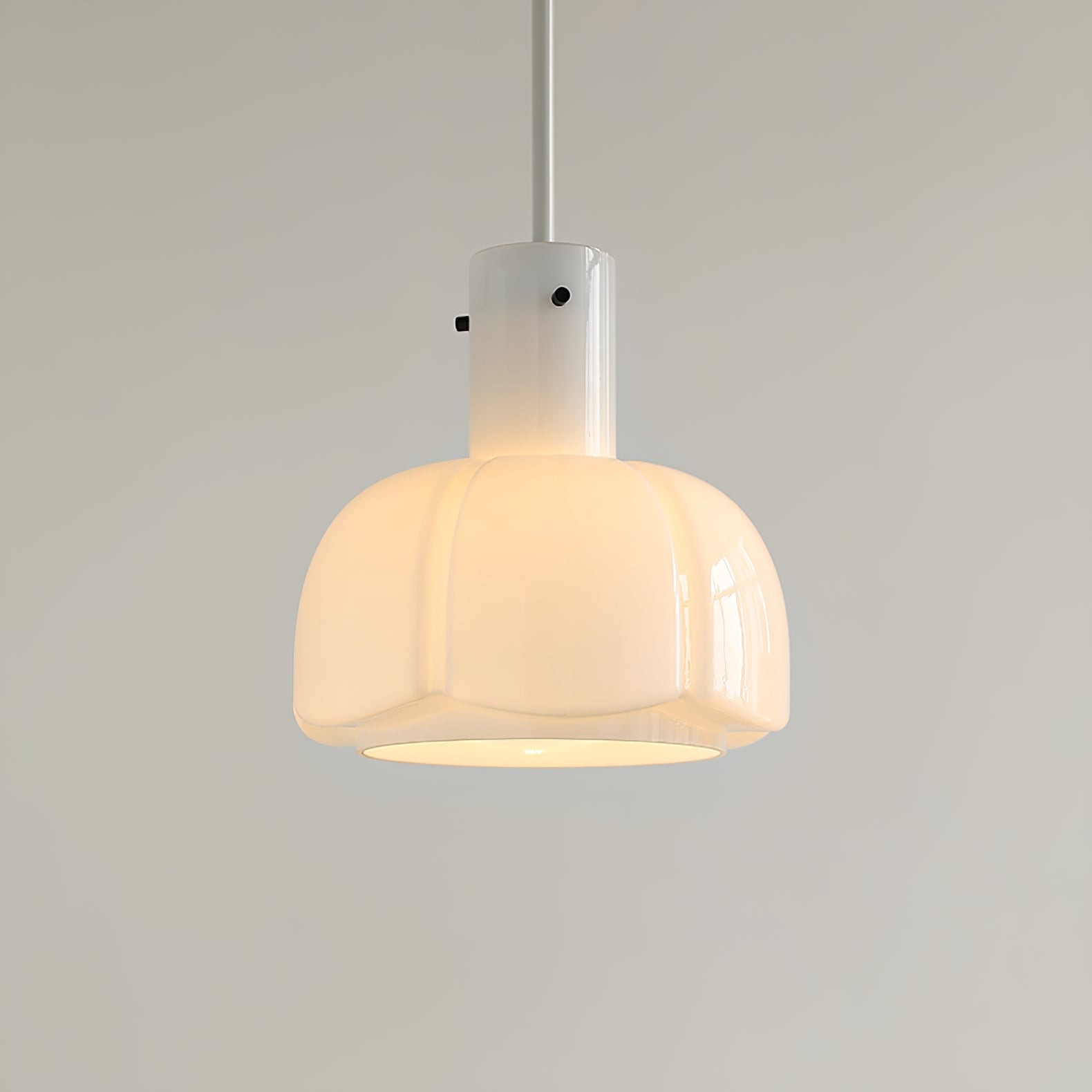 Franse pastorale stijl bloemblaadje glazen hanglamp HL637