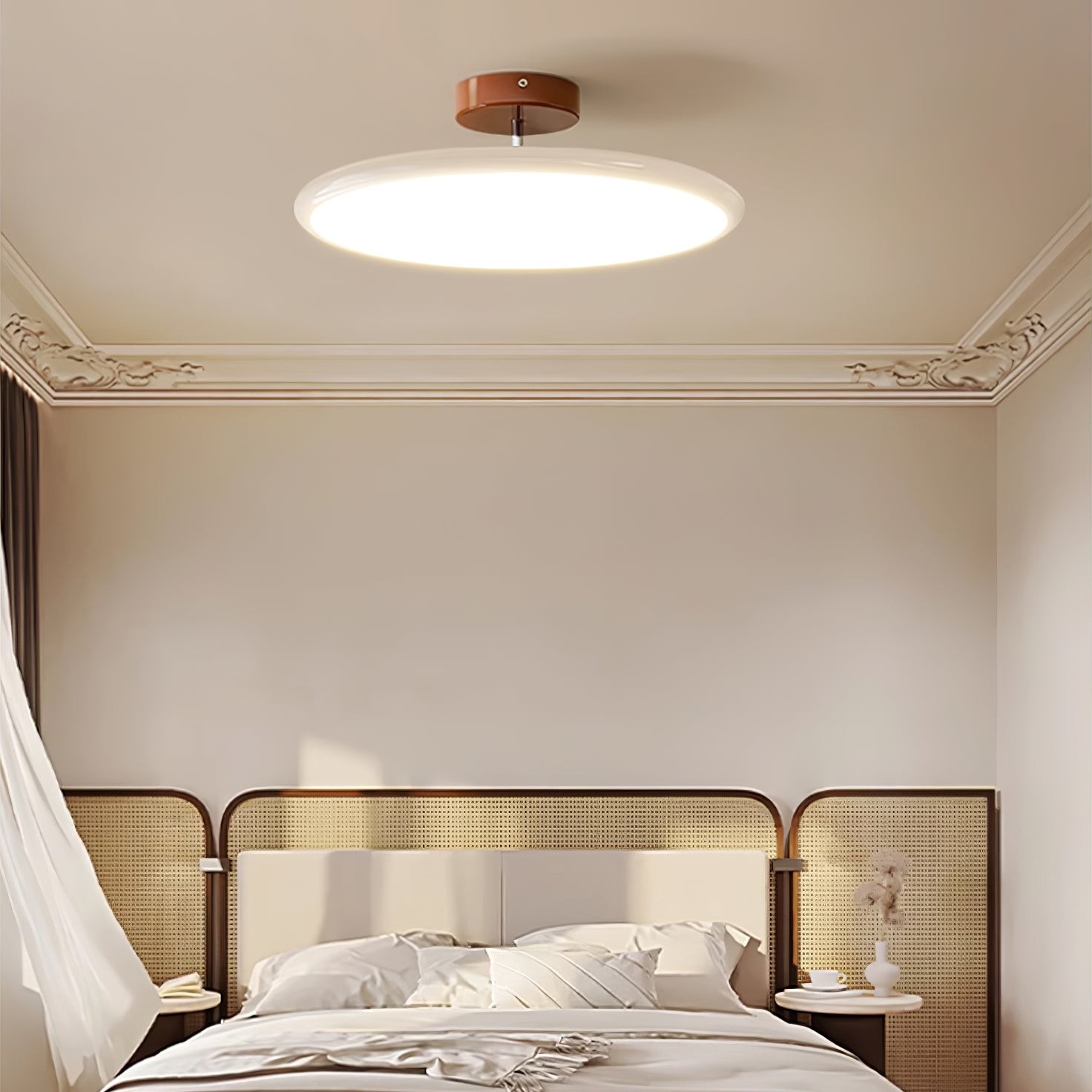 Moderne verstelbare schijfplafondlamp HL607