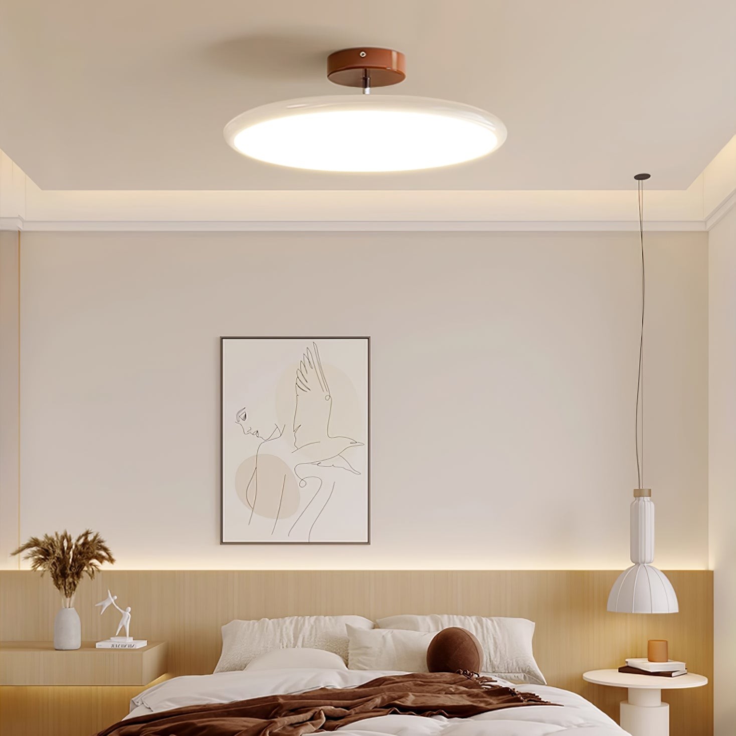 Moderne verstelbare schijfplafondlamp HL607