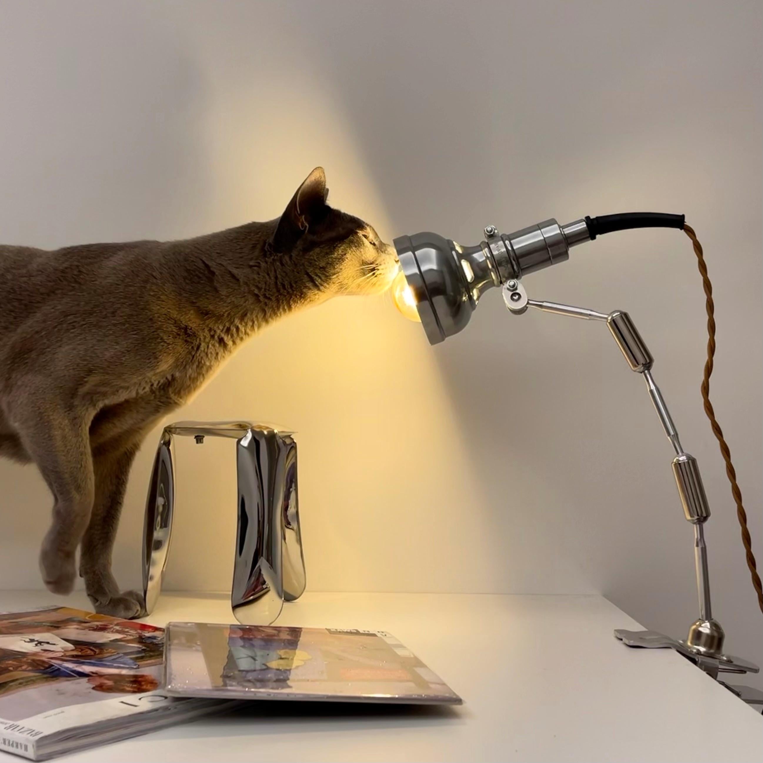 Vintage clip-on industriële lamp Serie