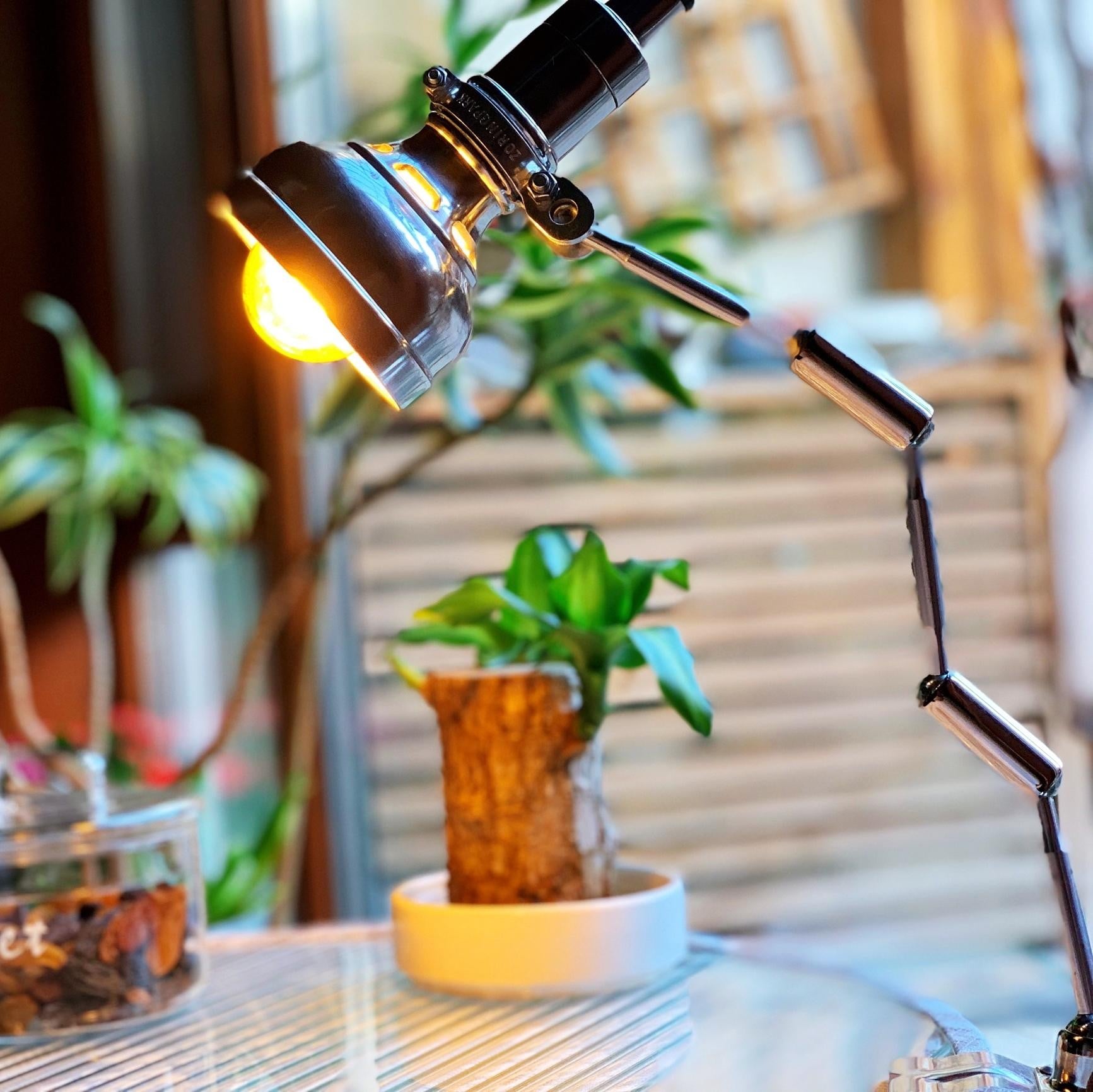 Vintage clip-on industriële lamp Serie