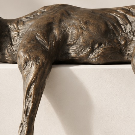 Textura bronceada. La luz resalta los contornos esculpidos del cuerpo y el hombro.