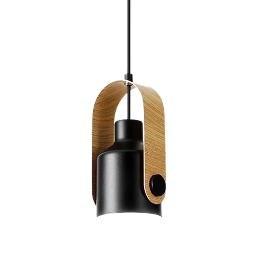 Verstelbare metalen kunst draaibare spot hanglamp HL125