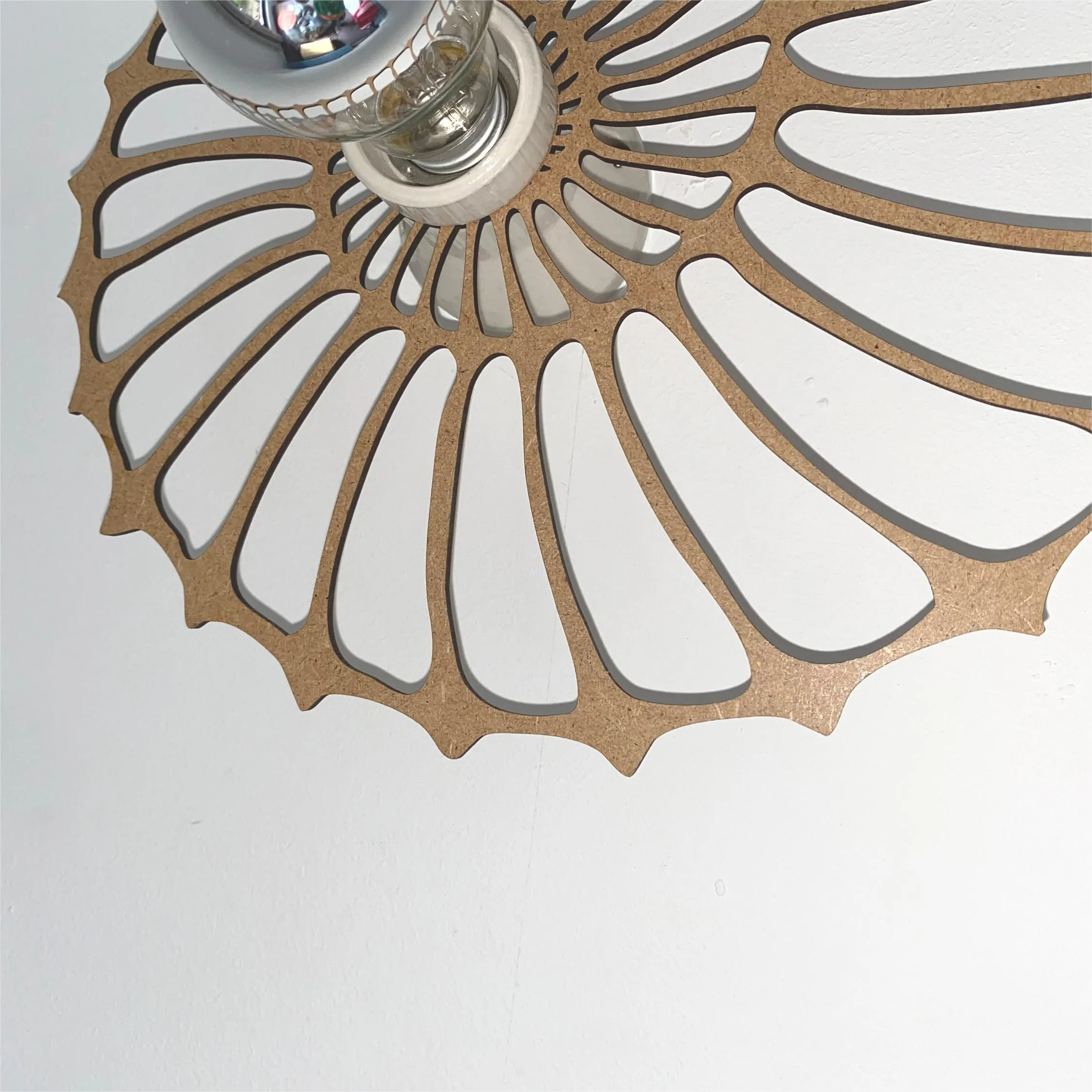 Nautilus Shell Design Decoratieve Wandlamp HL208