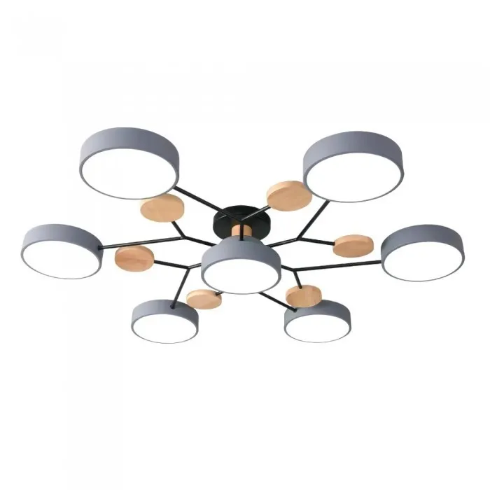 Nordic Vertakte Schijf LED Warm Witte Plafondlamp HL314