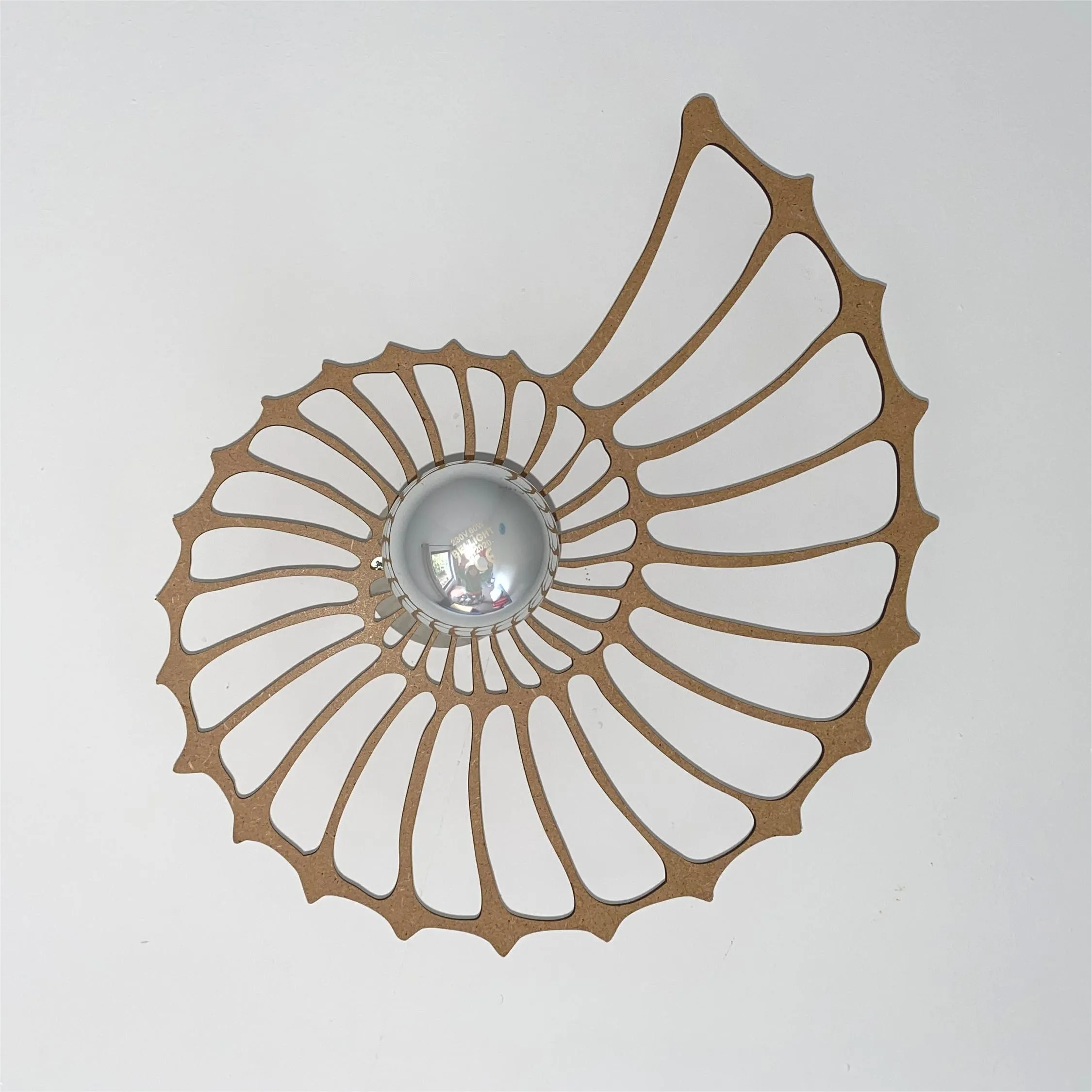Nautilus Shell Design Decoratieve Wandlamp HL208