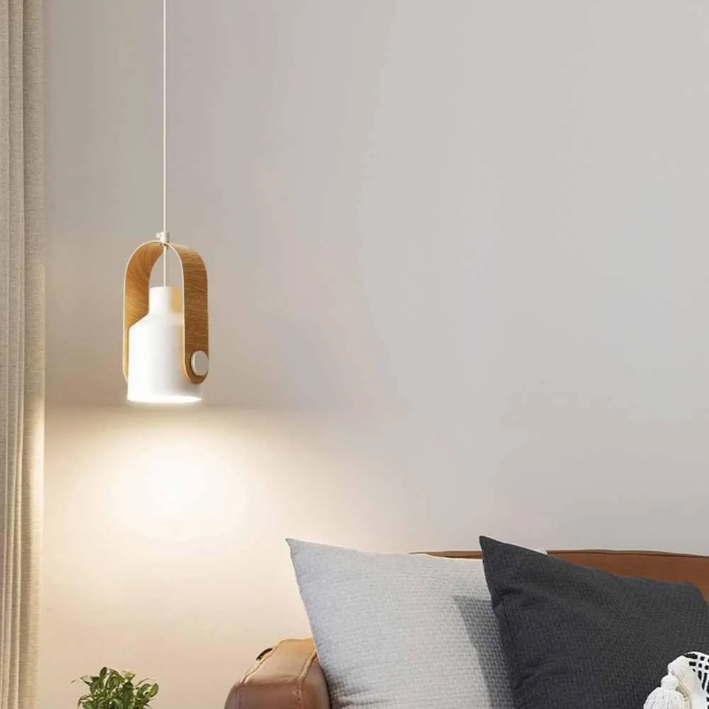 Verstelbare metalen kunst draaibare spot hanglamp HL125