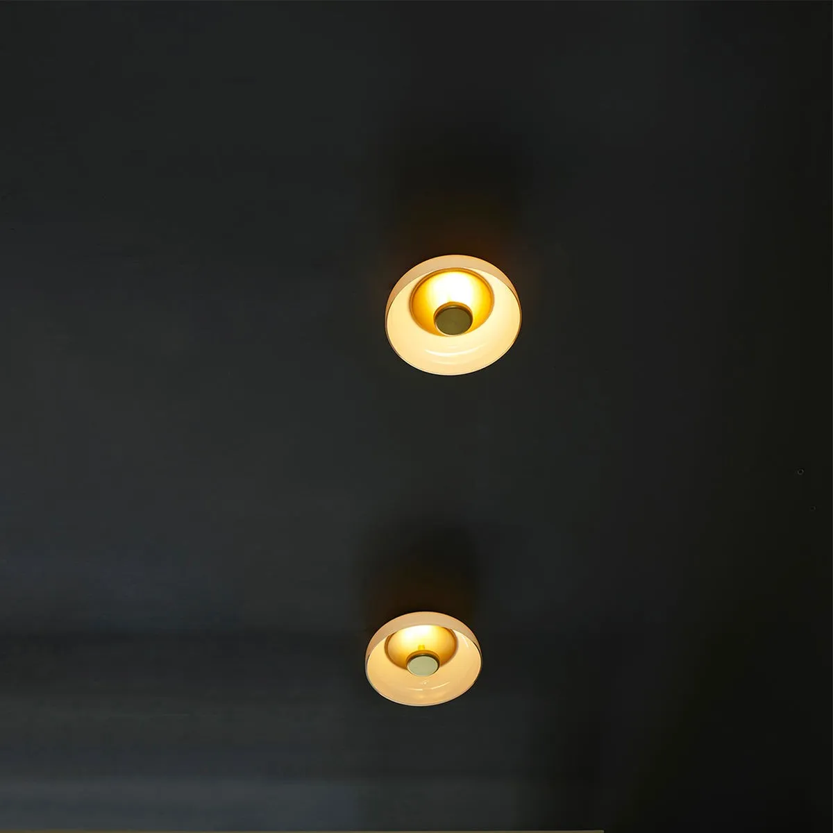 Goud LED Blossi Wandlamp Rond Glas